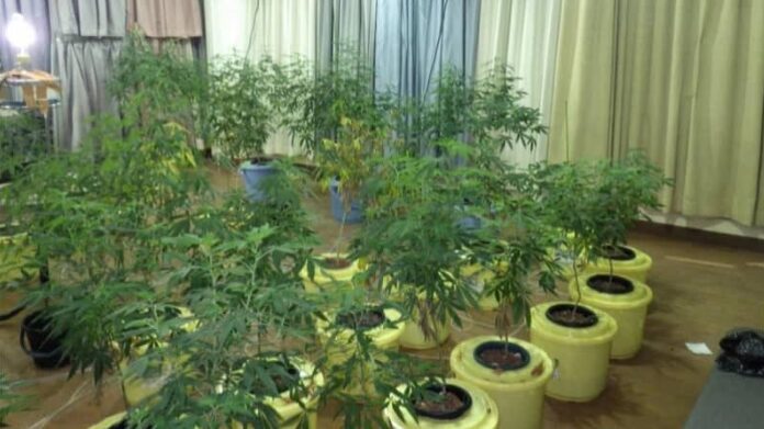 北九州の大麻栽培ホテル